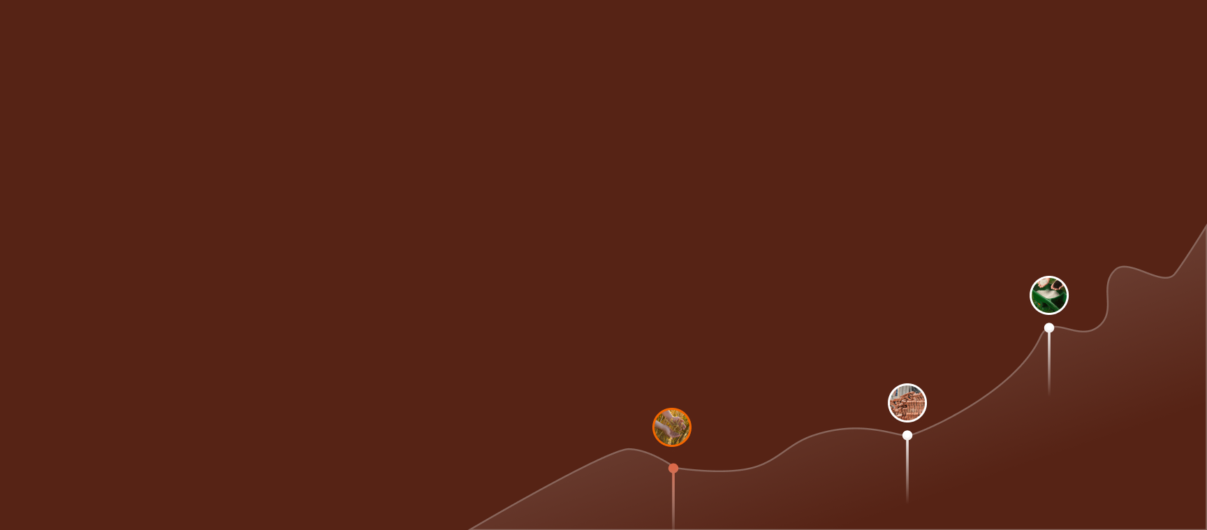 Daily Data Analytics Chart