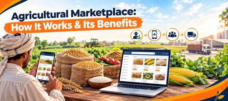 Agricultural Marketplace: How It Works & Its Benefits