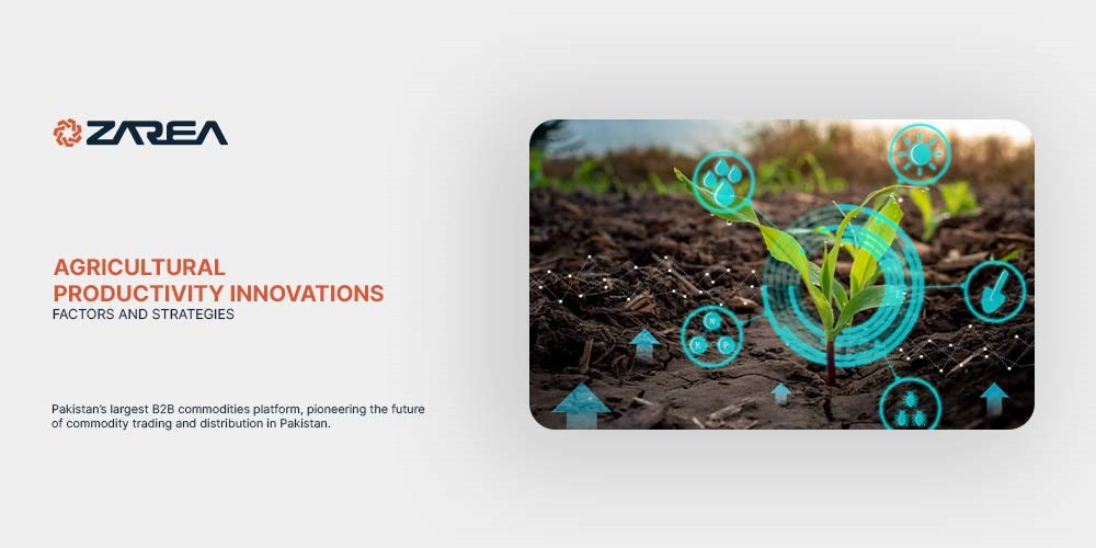 Agricultural Productivity Innovations – Factors and Strategies