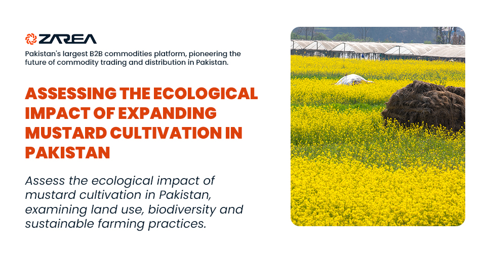 Assessing the Ecological Impact of Expanding Mustard Cultivation in Pakistan