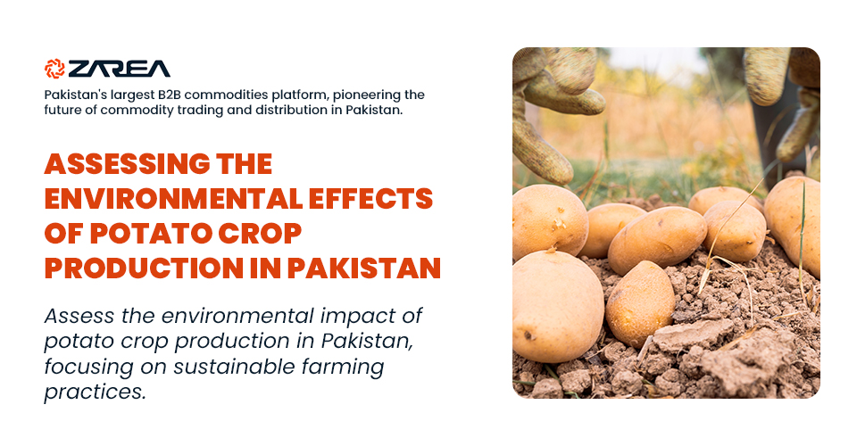 Assessing the Environmental Effects of Potato Crop Production in Pakistan