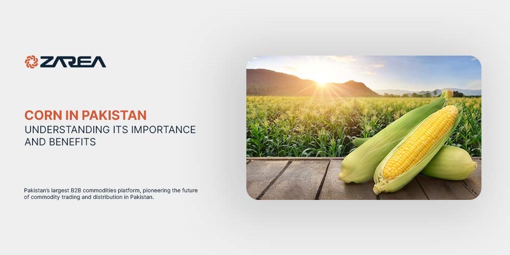 Corn in Pakistan – Understanding Its Importance and Benefits