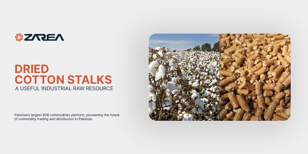 Dried Cotton Stalks | A Useful Industrial Raw Resource
