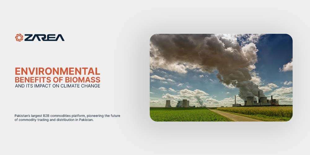 Environmental Benefits of Biomass & Its Impact on Climate Change