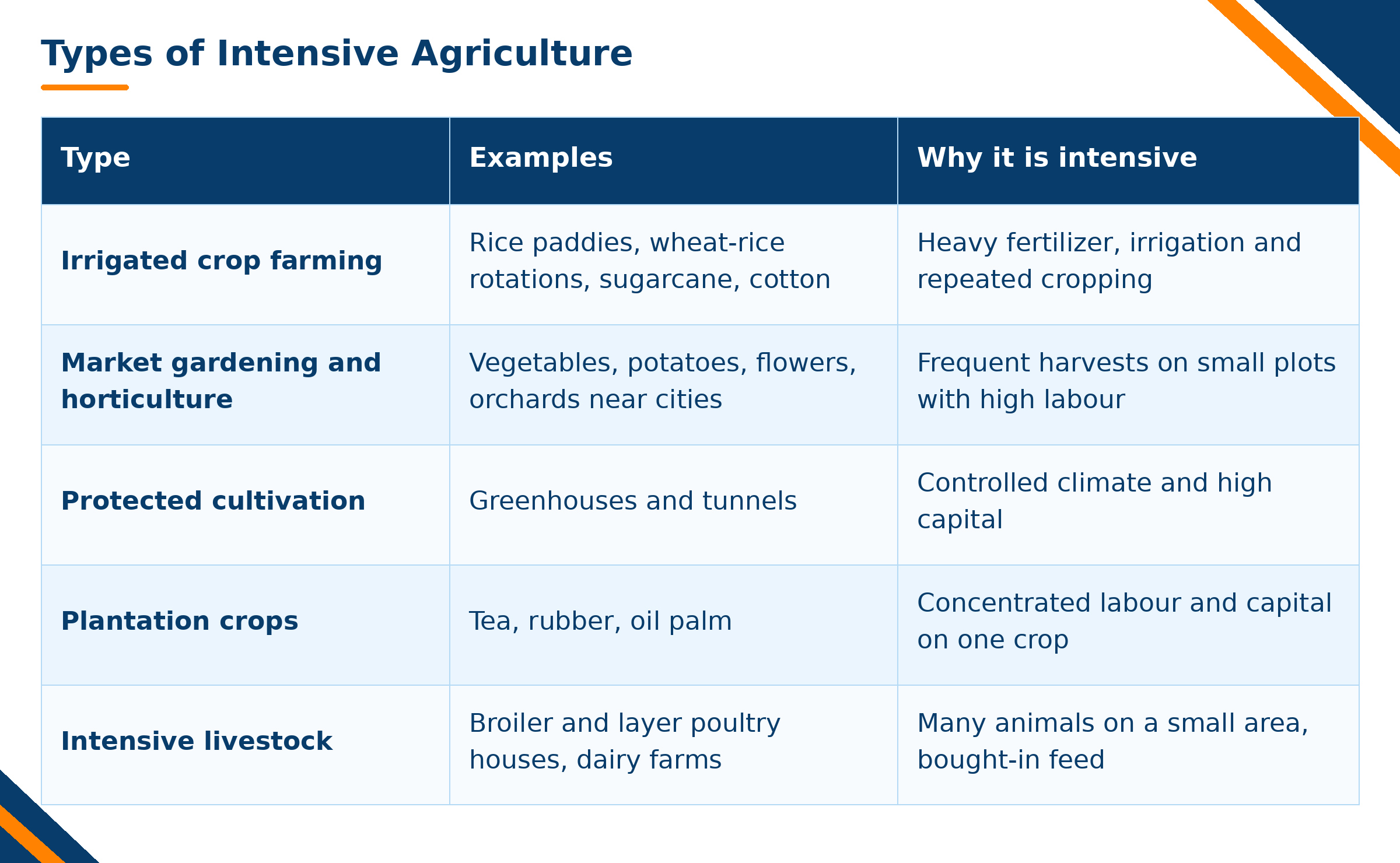 Types of intensive agriculture zarea 2026 10 30 16 55 02
