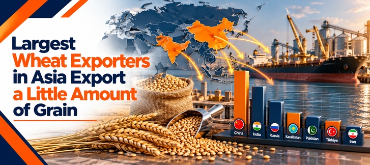 Largest Wheat Exporters in Asia | Export a Little Amount of Grain
