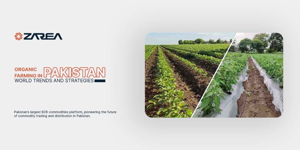 Organic Farming in Pakistan – World Trends and Strategies