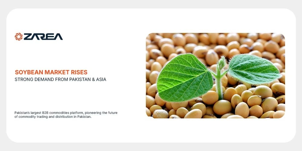 Soybean Market Rises | Strong Demand from Pakistan & Asia