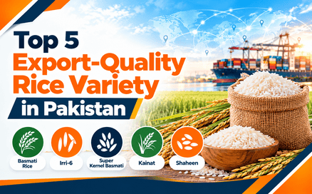 Top 5 Export-Quality Rice Variety in Pakistan | How We Get Them?